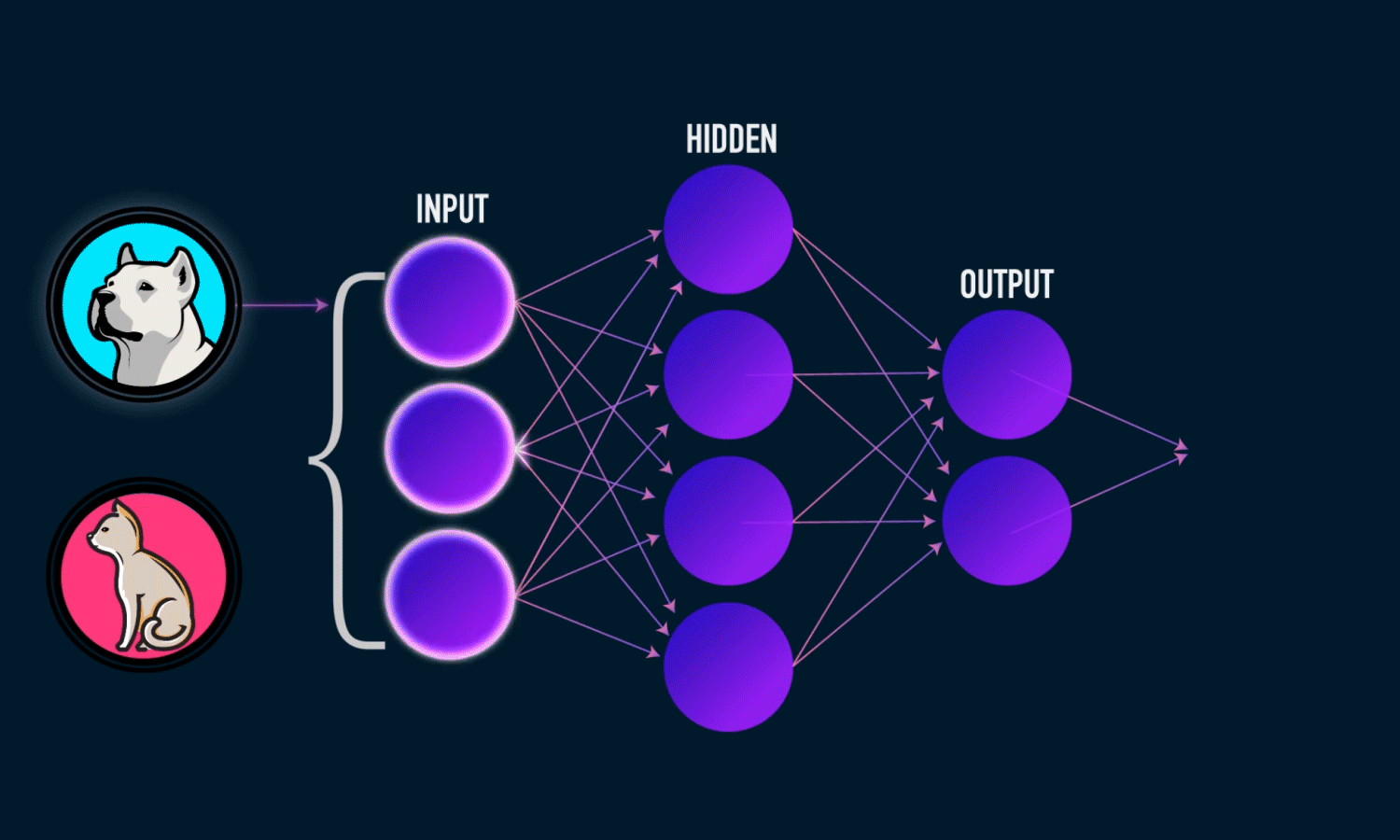 A Surefire Way to Building a Neural Network Using Python