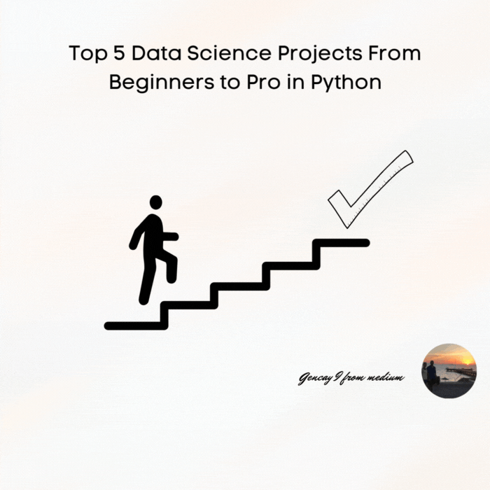 Top 5 Data Science Projects From Beginners to Pros in Python
