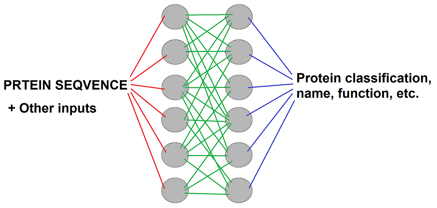 Automated Annotation of Protein Features Using Language Models