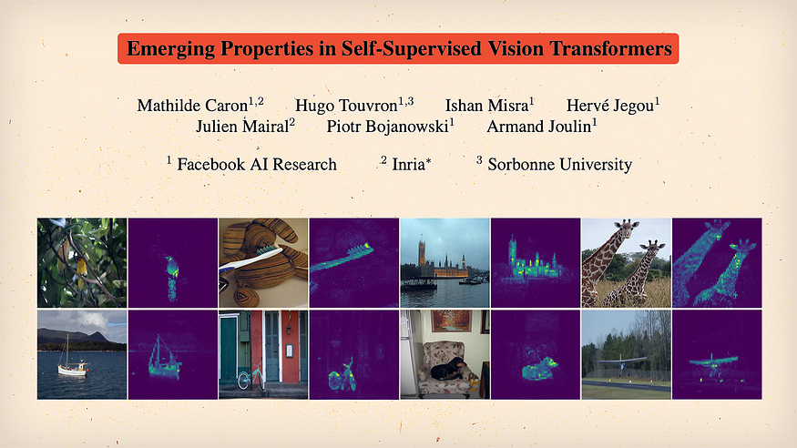 Self-Supervised Learning and Transformers? — DINO Paper Explained